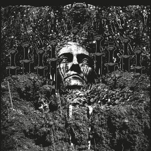 Suicide Forest - RELUCTANTLY