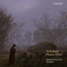 Schubert Franz - Piano Trios D898, D28, D929, D897