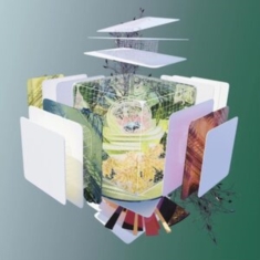 Tomato Flower - Gold Arc/Construction