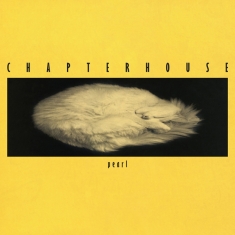 Chapterhouse - Pearl (Ltd. Translucent Yellow 12