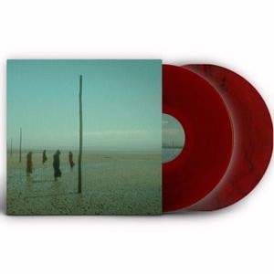 Devils Witches - In All Her Forms (Red/Black Marbled