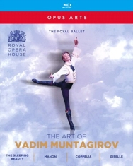 Various - The Art Of Vadim Muntagirov (4 Blur