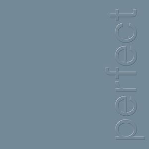 New Order - The Perfect Kiss