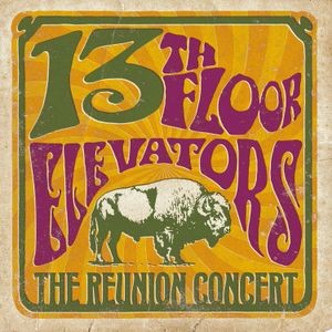 13Th Floor Elevators - Reunion Concert The (2 Lp Yellow Vi
