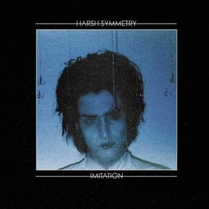 Harsh Symmetry - Display Model