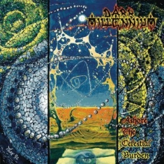 Dark Millenium - Ashore The Celestial Burden (Vinyl