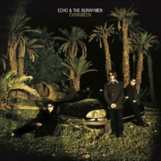 Echo And The Bunnymen - Evergreen