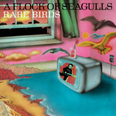 A Flock Of Seagulls - Rare Birds - 'A Flock Of Seagu