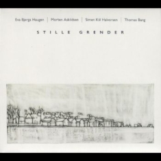 Various Artists - Stille Grender