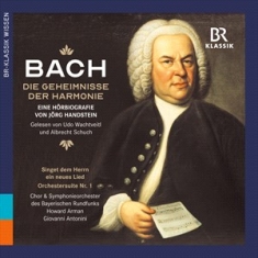 Bach Johann Sebastian Handstein - Die Geheimnisse Der Harmonie - Eine