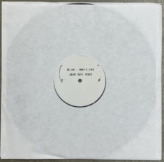 De Lux - What's Life (Idjut Boys Remix) 12