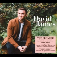 James David - The Promise