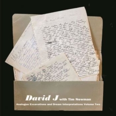 David J With Tim Newman - Analogue Excavations & Dream... Vol 2