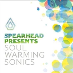 Blandade Artister - Soul Warming Sonics
