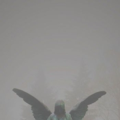 Jesu - Pity/Piety (White W. Splatter Vinyl