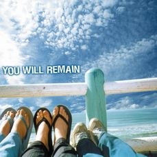 Various Artists - You Will Remain