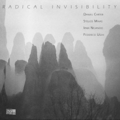 Carter Daniel Stelios Mihas Irma Ne - Radical Invisibility
