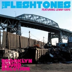Fleshtones The - Brooklyn Sound Solution (Deluxe)