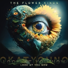 Flower Kings The - Look At You Now