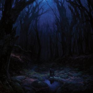 Woods Of Desolation - Torn Beyond Reason (Digipack)