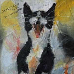 Deena Abdelwahed - Searching For A Limousine