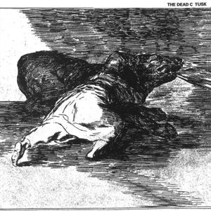 Dead C. - Tusk