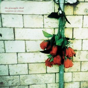 The Pineapple Thief - Variations On A Dream