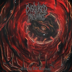 Disguised Malignance - Entering The Gateways