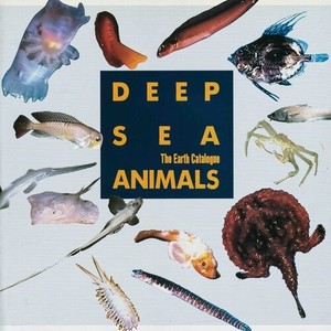 Various Artists - Deep Sea Animals Original Soundtrac