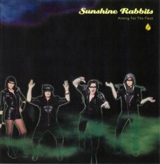 Sunshine Rabbits - Aiming For The Flesh