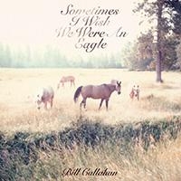 Callahan Bill - Sometimes I Wish We Were An Eagle