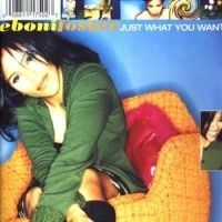 Foster Eboni - Just What You Want i gruppen CD / Pop hos Bengans Skivbutik AB (501837)