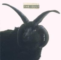 Cult The - The Cult i gruppen CD / Pop hos Bengans Skivbutik AB (503121)