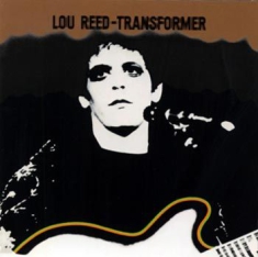 Reed Lou - Transformer