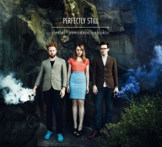 Riedel/Svensson/Skokic - Perfectly Still