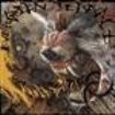 Evergreen Terrace - Wolfbiker i gruppen CD / Rock hos Bengans Skivbutik AB (536982)
