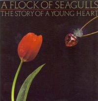 Flock Of Seagulls A - Story Of A Young Heart