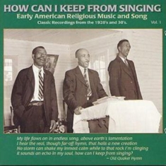 Blandade Artister - How Can I Keep From Singing 1