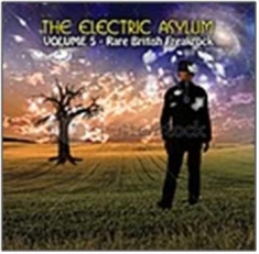 Blandade Artister - The Electric Asylum Vol 5