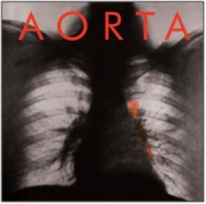 Aorta - Aorta