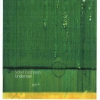 Endresen Sidsel - Undertow i gruppen CD / Jazz/Blues hos Bengans Skivbutik AB (549620)