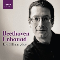 Beethoven Ludwig Van - Beethoven Unbound (12 Cd)