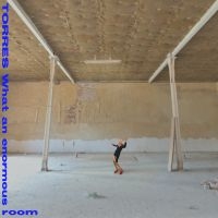 Torres - What An Enormous Room (Ltd Blue & W