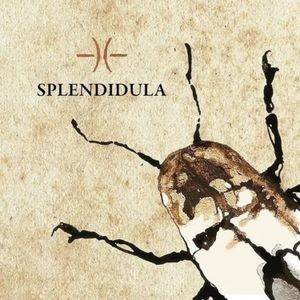 Splendidula - Splendidula
