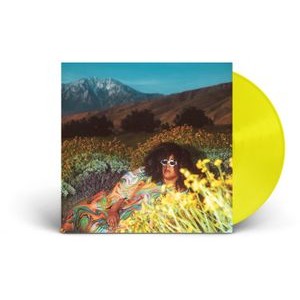 Brittany Howard - What Now