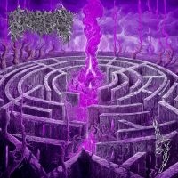 Civerous - Maze Envy (Purple/Magenta Vinyl Lp)