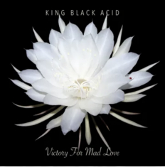 King Black Acid - Victory For Mad Love (Rsd) - IMPORT