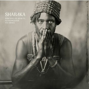 Shabaka Hutchings - Perceive Its Beauty, Acknowledge It