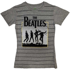 The Beatles - Leaping Gold Foil Striped Lady Grey   