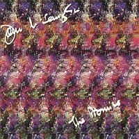 John McLaughlin - Promise i gruppen CD / Jazz/Blues hos Bengans Skivbutik AB (554306)
